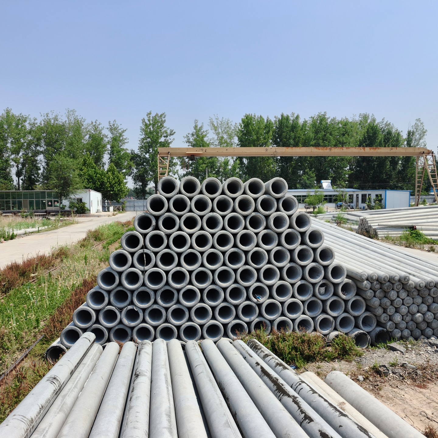 朝阳190×10米水泥电线杆