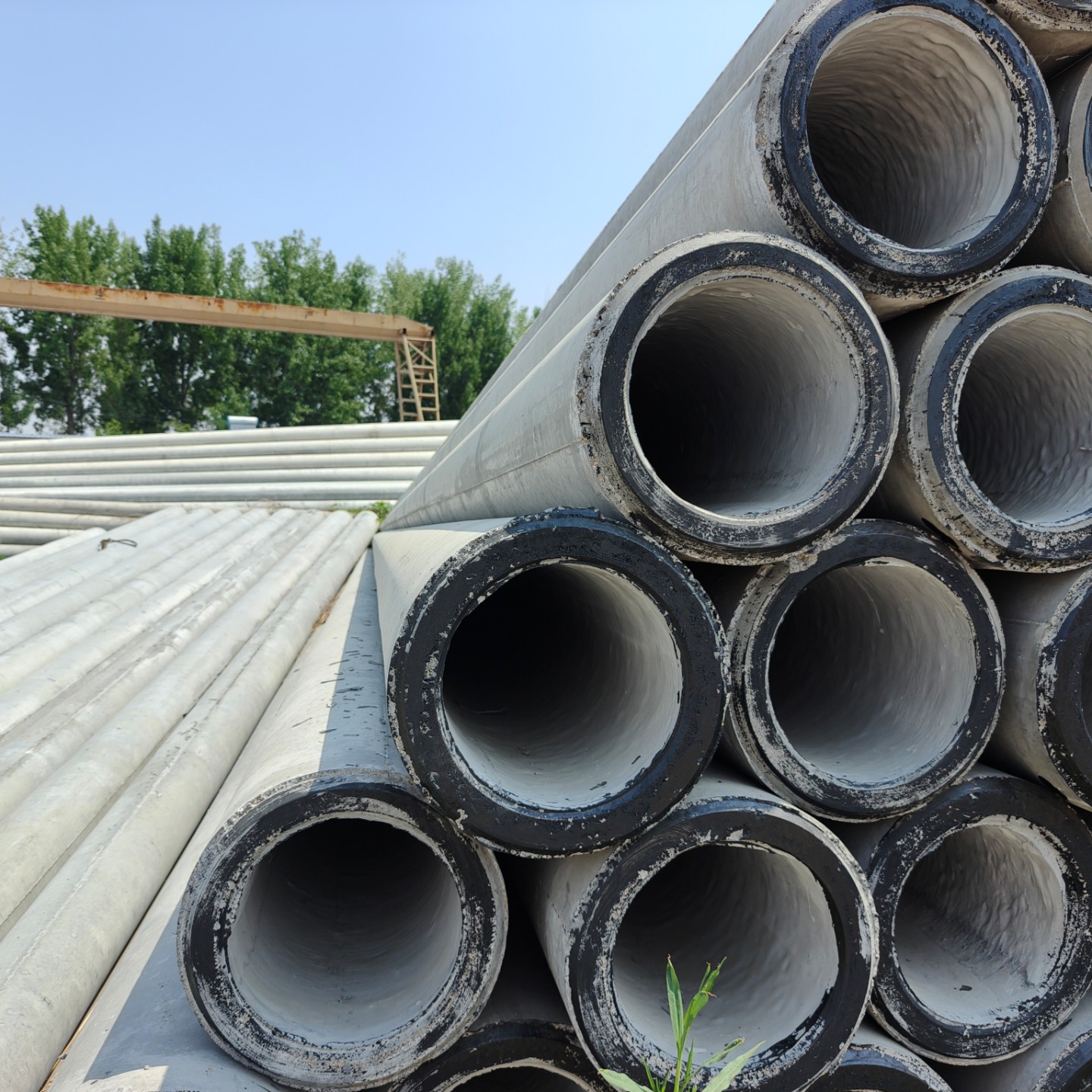 朝阳10米预应力水泥电杆